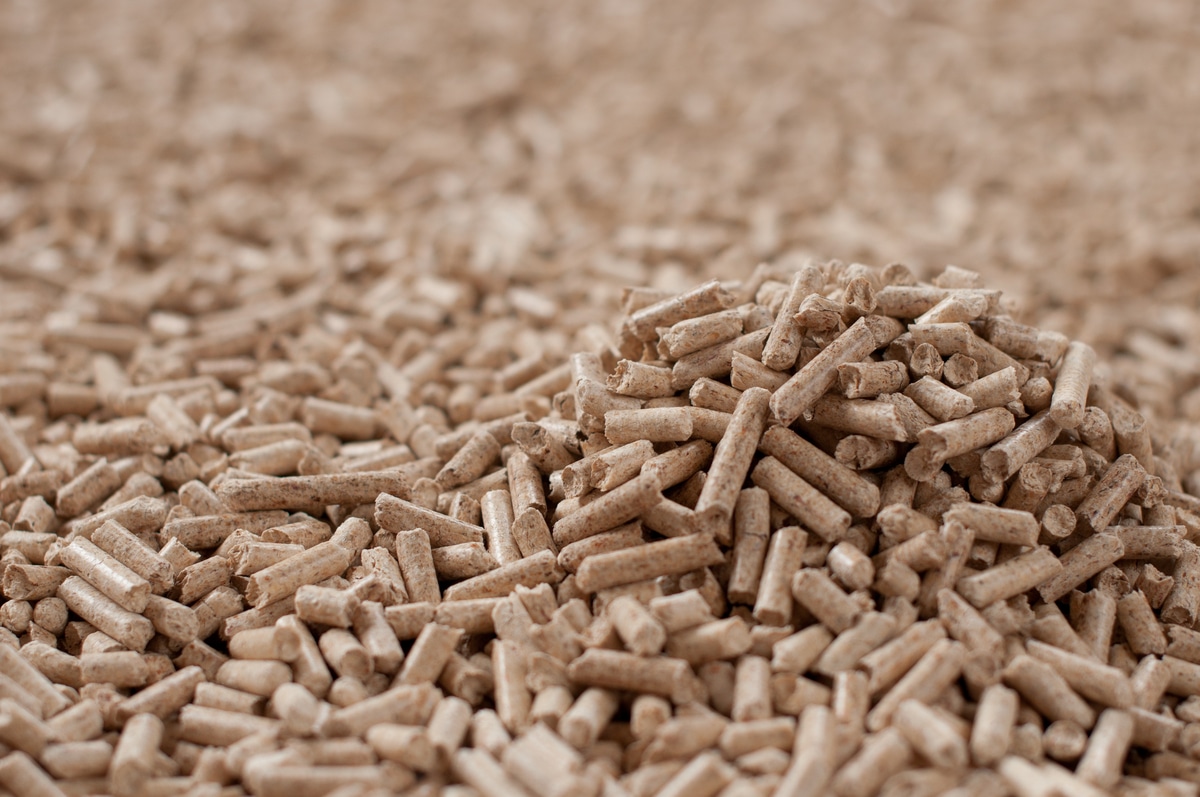 Close-up of industrial wood pellets